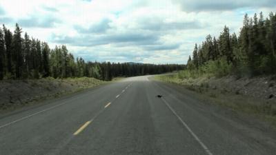 Alaska Highway Mile 813