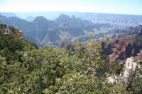 NorthRim Pictures