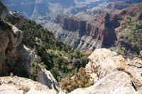 NorthRim Pictures