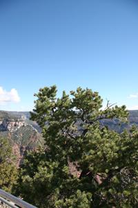 NorthRim Pictures