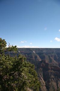 NorthRim Pictures
