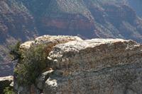 NorthRim Pictures