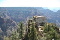 NorthRim Pictures