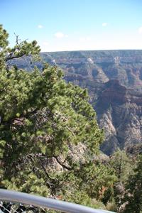 NorthRim Pictures