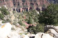 NorthRim Pictures