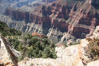 NorthRim Pictures