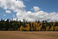 NorthRim Pictures