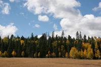 NorthRim Pictures