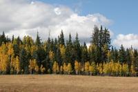 NorthRim Pictures
