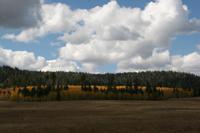 NorthRim Pictures
