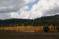 NorthRim Pictures
