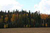 NorthRim Pictures