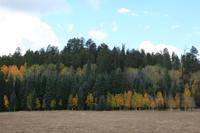 NorthRim Pictures