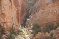CapitolReef Pictures