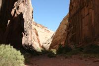 CapitolReef Pictures