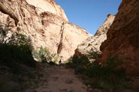CapitolReef Pictures