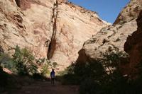 CapitolReef Pictures