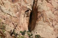 CapitolReef Pictures