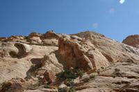 CapitolReef Pictures