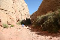 CapitolReef Pictures