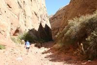 CapitolReef Pictures
