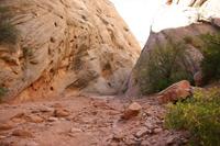 CapitolReef Pictures