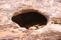 CapitolReef Pictures