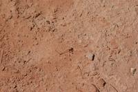 CapitolReef Pictures