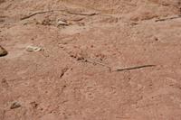 CapitolReef Pictures