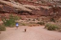 CapitolReef Pictures