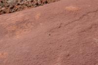 CanyonLands Pictures