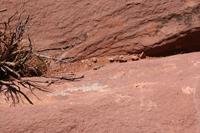 CanyonLands Pictures