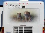 Cheetah Mural