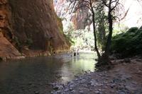 Zion Pictures