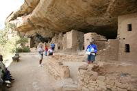 MesaVerde Pictures