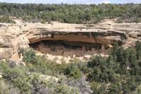 MesaVerde Pictures