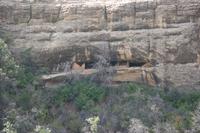 MesaVerde Pictures